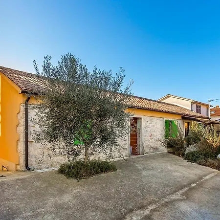 House Dragan 1980 בית נופש *